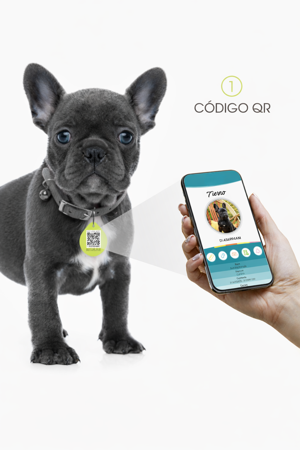 Placa Inteligente con Código QR Mascotas: Seguridad y Reencuentro Rápido